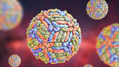 WNV_AdobeStock_117913696_online.jpg West-Nil-Virus