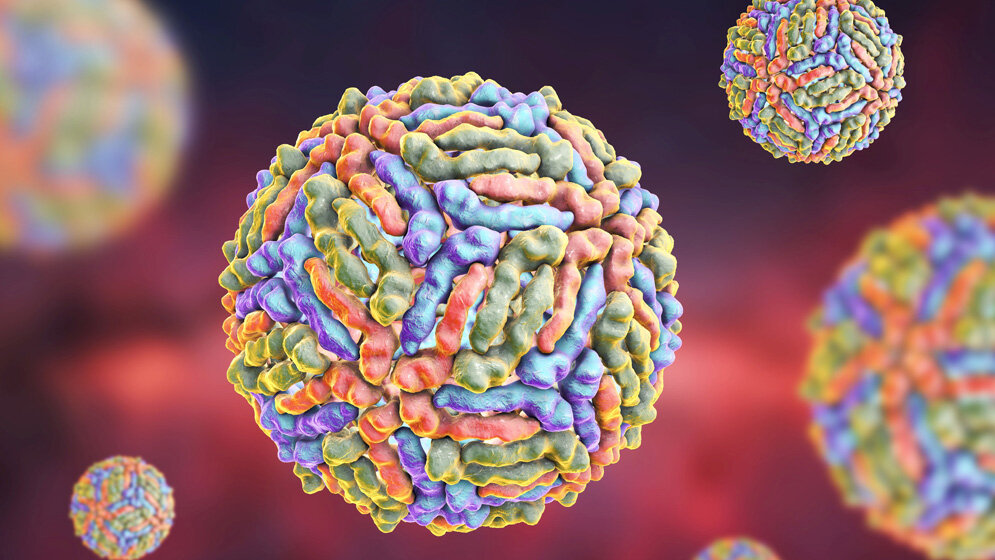 WNV_AdobeStock_117913696_online.jpg West-Nil-Virus