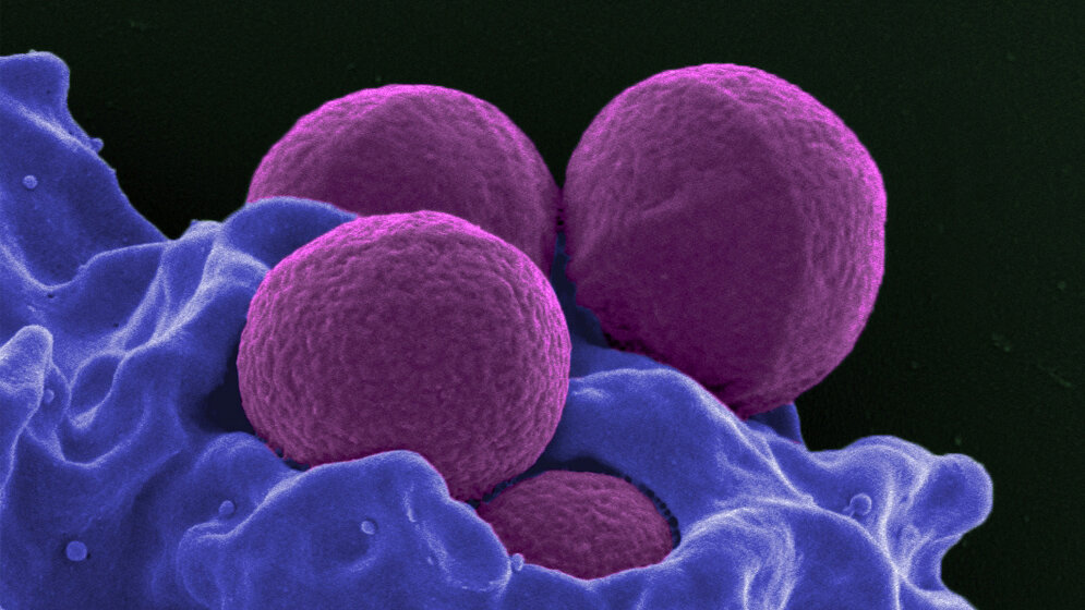 MRSA