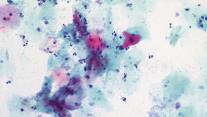 Mikrobiologie