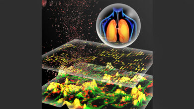 In_silico_Modellierung_von_Partikel_Zell_Interaktionen_HZM.jpg In-silico-Modellierung von Partikel-Zell-Interaktionen