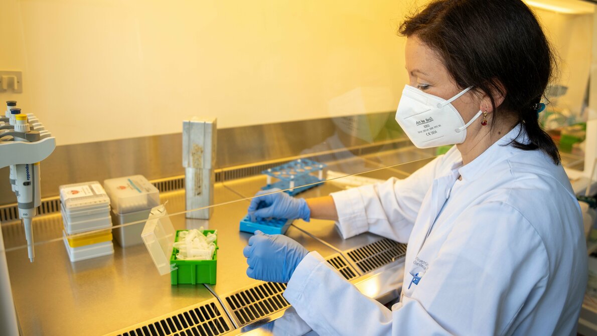 Forschung am UKB zu Adipositas