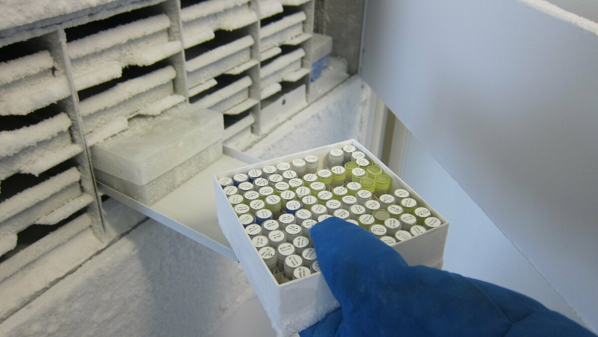 Biobanken AdobeStock_24697195.jpeg