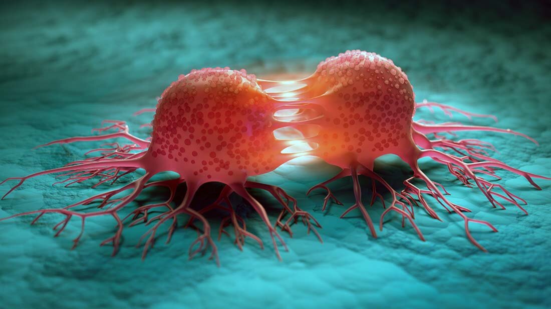  Neue Ansätze zur Verbesserung der Reproduzierbarkeit von Forschungsergebnissen