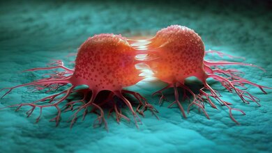  Neue Ansätze zur Verbesserung der Reproduzierbarkeit von Forschungsergebnissen