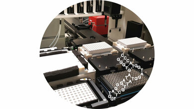 Im Vordergrund die Sekudärstruktur des Aptamers