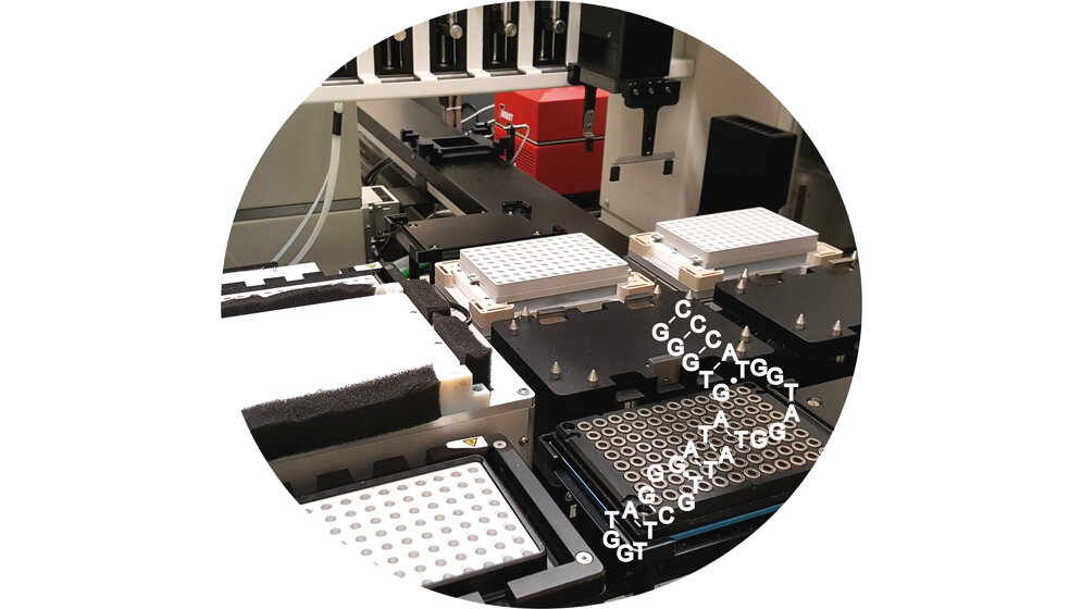 Im Vordergrund die Sekudärstruktur des Aptamers