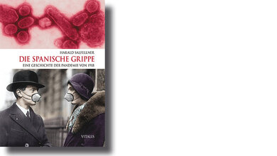 Die Spanische Grippe