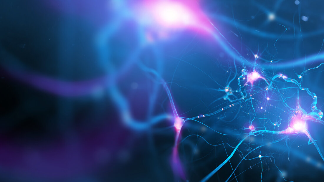 Nervenzellen_Adobe.jpg Nervenzellen_Adobe.jpg