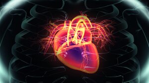 EKG