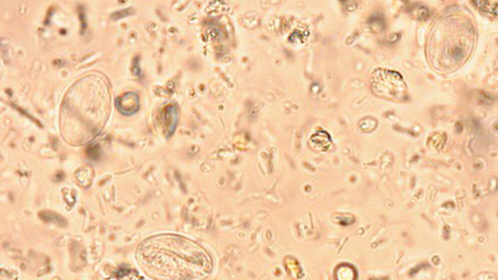 Parasitologie