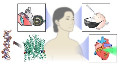 Optogenetik.jpg Beispielfälle für den Einsatz der Optogenetik bei Blinden, Tauben und Herzkranken.