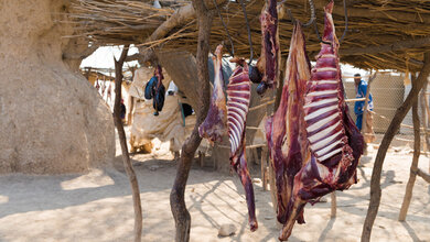 Wildfleisch_und_Zoonosen.jpg Wildfleisch in Afrika