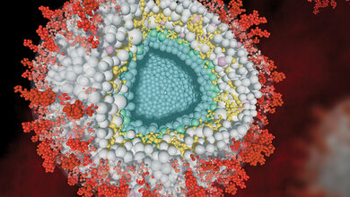 Herpesviren: Fortschritte bei der Entwicklung antiviraler Wirkstoffe?