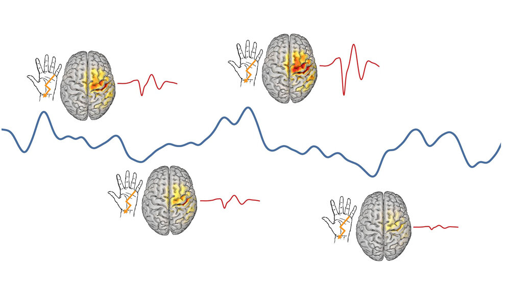 Wechsel_folgt_einem_bestimmten_zeitlichen_Muster_Stephani_MPI_CBS.jpg Wechsel folgt einem bestimmten zeitlichen Muster