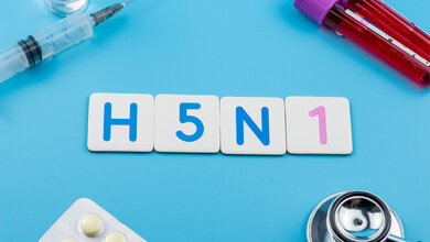 Vogelgrippe H5N1