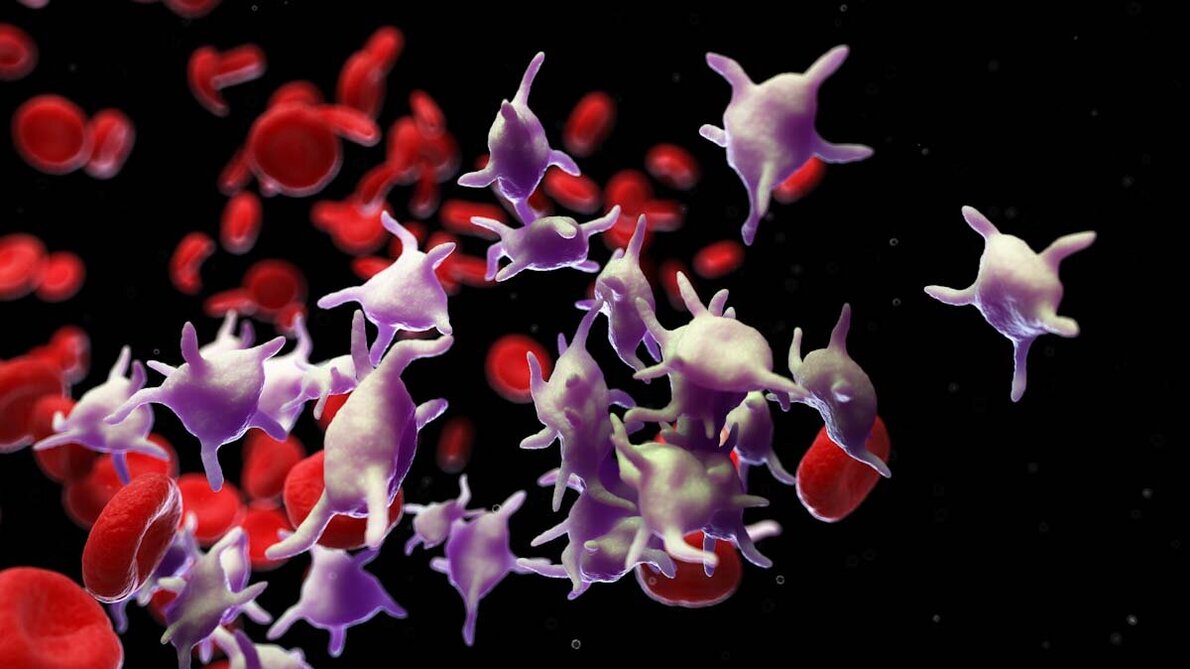 Thrombozyten_AdobeStock_269999989_edited.jpg Thrombozyten
