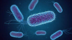 Titelbild des Fachbeitrags zum Problem weltweit zunehmender Antibiotikaresistenzen