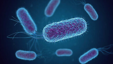 Titelbild des Fachbeitrags zum Problem weltweit zunehmender Antibiotikaresistenzen