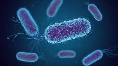 Titelbild des Fachbeitrags zum Problem weltweit zunehmender Antibiotikaresistenzen