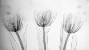 Bildgebende Verfahren