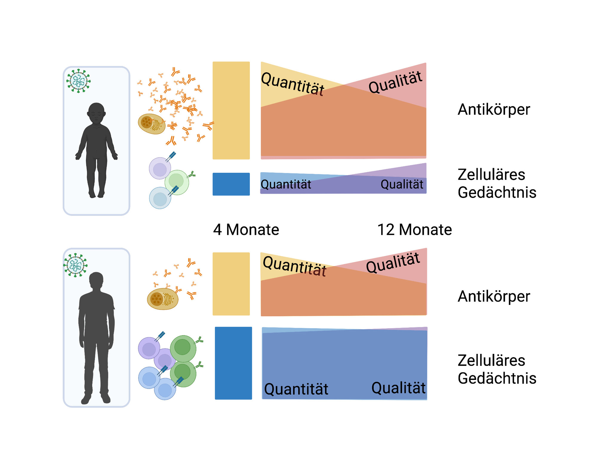 Unterschiede Kinder und Erwachsene