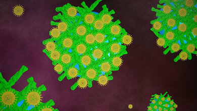 Peptid-Nanofibrillen