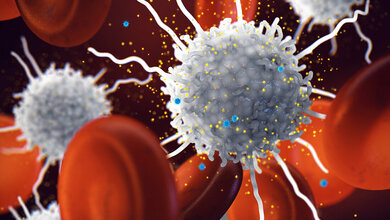 Interferon: Schlüssel zur fälschlichen Aktivierung des Immunsystems 