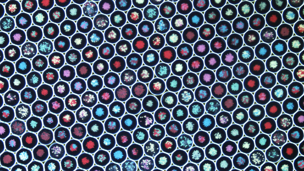 Bunte Farbkügelchen zur Unterscheidung