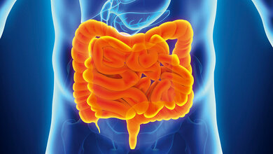 Gesundes Mikrobiom und potenziell pathogene Erreger