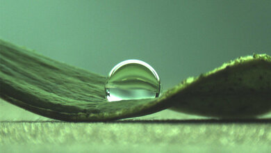 Wassertropfen auf einem Lotusblatt 