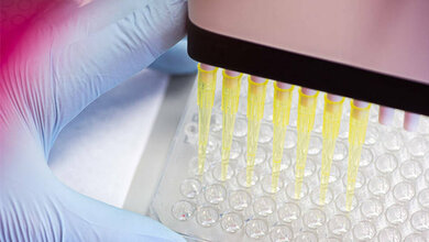 Neue Methode zur Identifikation von Antikörpern für Krebstherapien