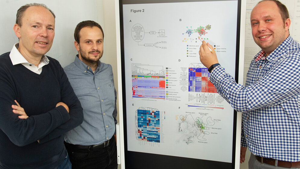 Prof_Dr_Joachim_L_Schultze_Dr_Theodoros_Kapellos_Dr_Thomas_Ulas_am_LIMES-Institut__Foto_Barbara_Frommann_Uni_Bonn.jpg Aggressivem Brustkrebs auf der Spur