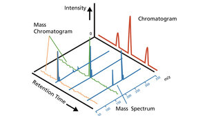 Schematische Darstellung der Zusammenhänge zwischen Retentionszeit, Massenspektren und Intensität