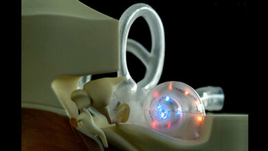 Innenohrmodell zum „Hören mit Licht“