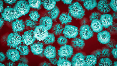 Blütenteilchen aus Zinkoxid 