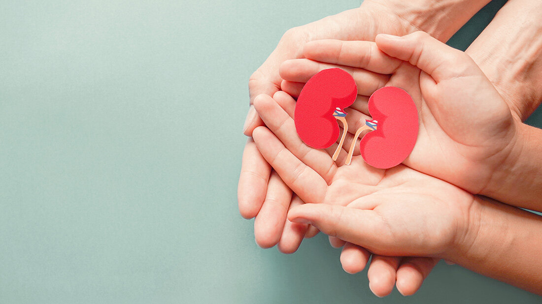 Nierenkrebs_Haende.jpg Niere