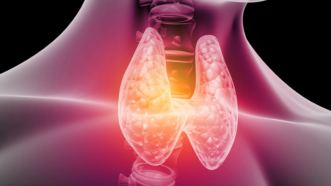 Schilddrüse