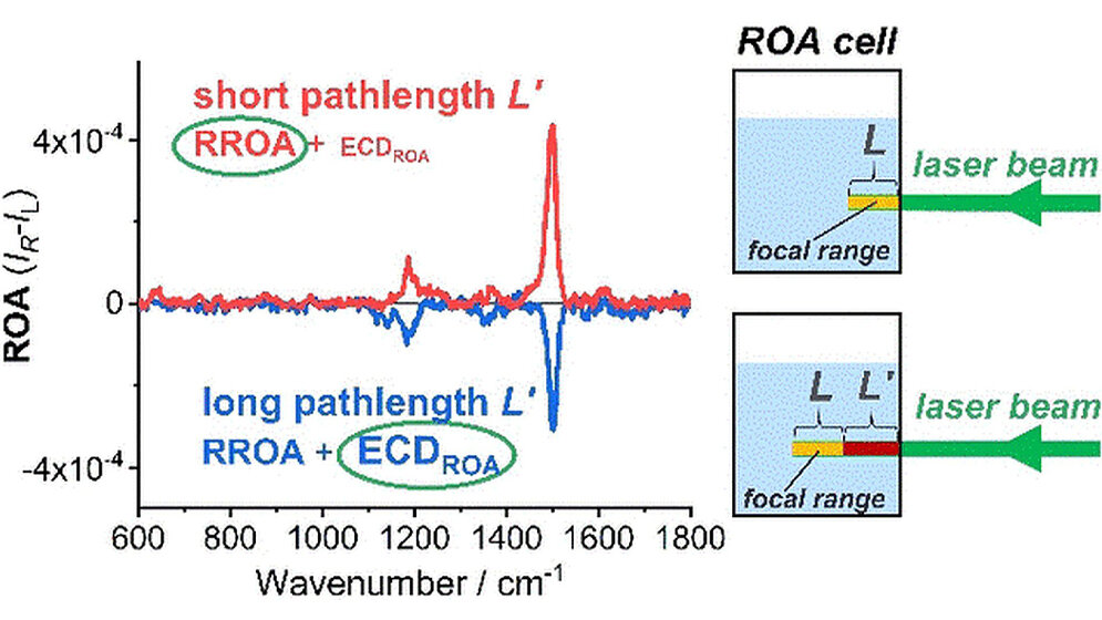 Interferenz verfälscht Raman-spektroskopische Analysen 