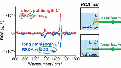 Interferenz verfälscht Raman-spektroskopische Analysen 