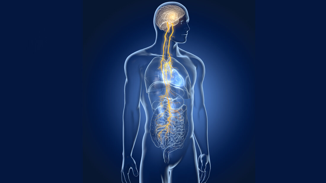 Stimulation des Vagusnervs als neue Therapieform?