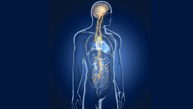 Stimulation des Vagusnervs als neue Therapieform?