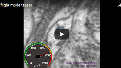 fligfhtmodeteaser.jpg Flight Mode Teaser