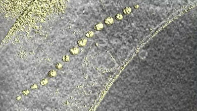 Die magnetischen Nanoteilchen bilden im Innern der Zelle eine Kette