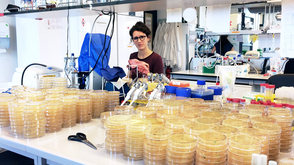 Dr_Tanita_Wein_IfAM_CAU.jpg Dr. Tanita Wein