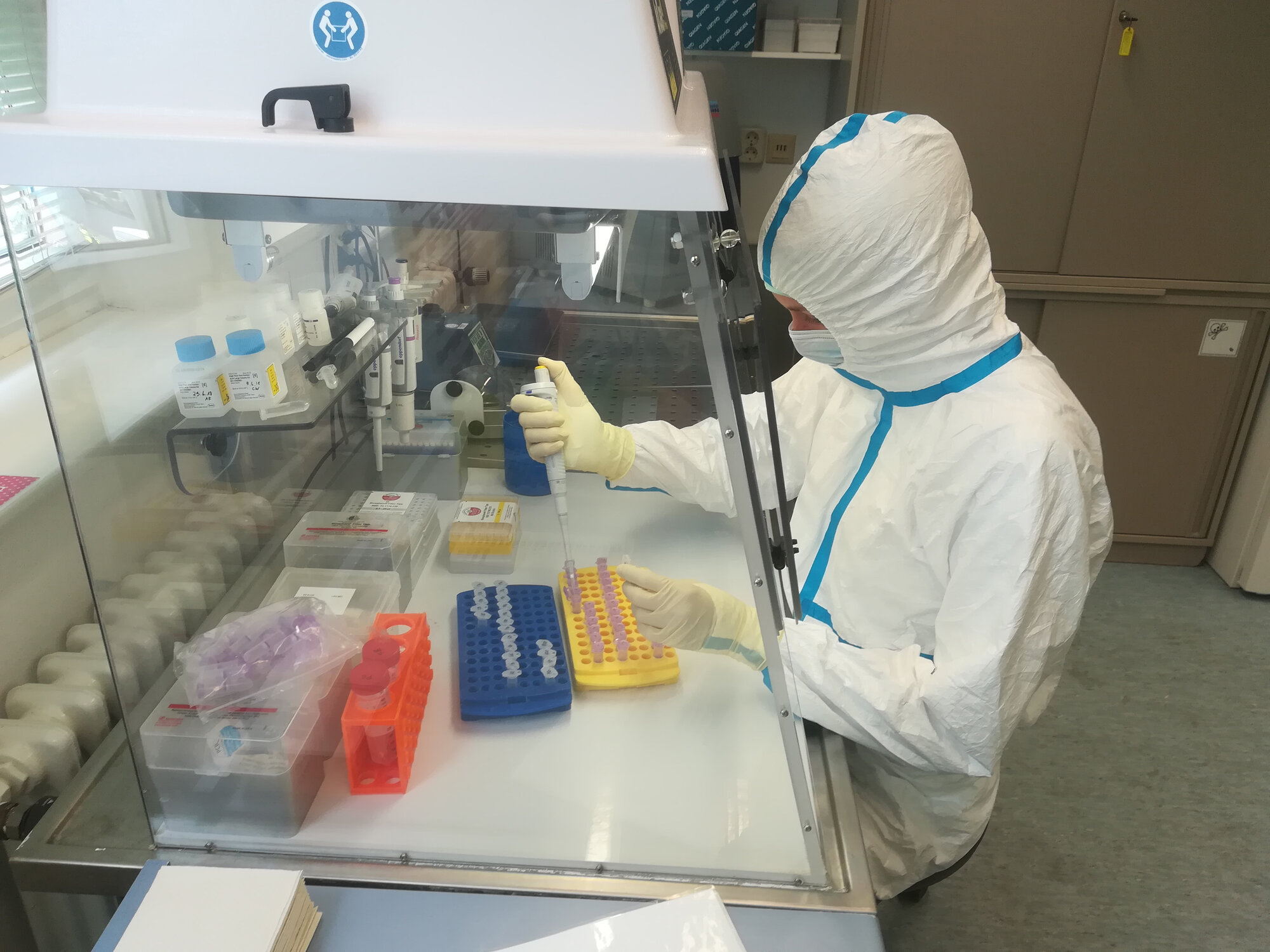 Auf_der_Suche_nach_Pathogenen_Ben_Krause_Kyora_Uni_Kiel.jpg Auf der Suche nach Pathogenen