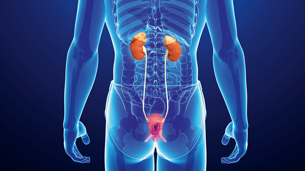 Laboratoriumsmedizin Gitelman-Syndrom