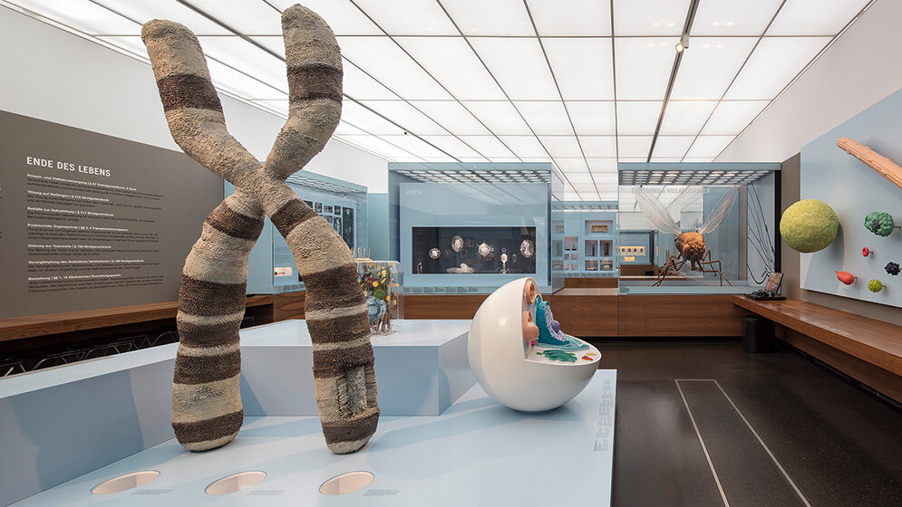 Mikrobiologietage in Dresden young.DVTA