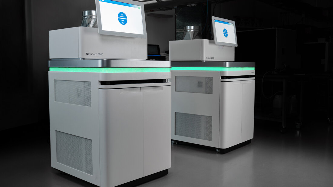 Hochdurchsatz-Sequenzierung 
