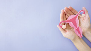 Grafik mit schematischer Darstellung Darstellung der inneren weiblichen Geschlechtsorgane